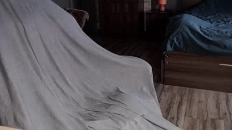 Malina online show from 01/13/25, 08:05