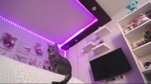 amazing_agness online show from 02/23/25, 07:00