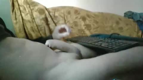 Snapshot of amazingcuteboy845 chatting on 09/29/25, 01:16 amazingcuteboy845 online show from 09/29/25, 01:16