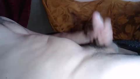 amazingcuteboy845 online show from 05/25/26, 07:42