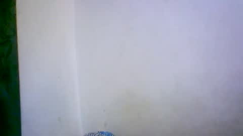 Snapshot of ambar166 chatting on 12/17/25, 11:00 ambar166 online show from 12/17/25, 11:00