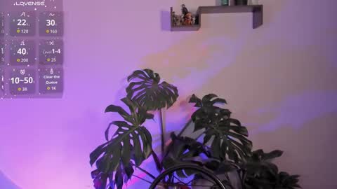 Snapshot of amber_rosewood_ chatting on 01/12/26, 04:50 Vivi online show from 01/12/26, 04:50