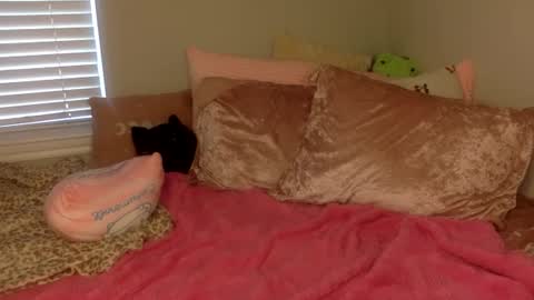 Snapshot of amberbunny1 chatting on 09/14/25, 03:22 Amber 3 online show from 09/14/25, 03:22