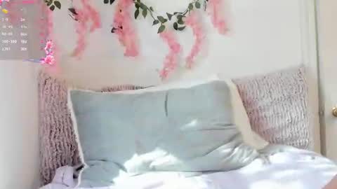 Snapshot of ameliashepard1 chatting on 06/19/26, 09:40 Amelia online show from 06/19/26, 09:40