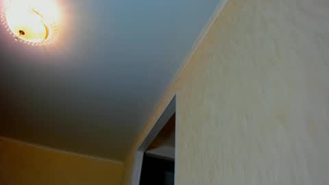 Amelia PVT model online show from 12/31/24, 10:56