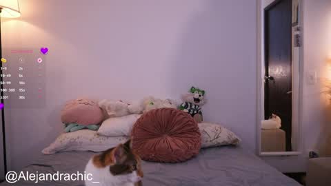 Snapshot of amelie_leigh chatting on 05/22/26, 01:02 Alejandra online show from 05/22/26, 01:02