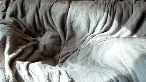 Snapshot of american_horny chatting on 10/24/25, 05:42 Olive  Walter online show from 10/24/25, 05:42