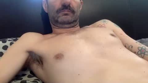 Snapshot of amued_mushroom chatting on 04/23/26, 09:50 Dan online show from 04/23/26, 09:50