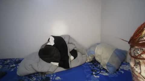 shantel online show from 11/14/25, 07:29