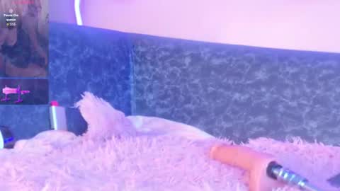 Amy online show from 07/17/26, 08:43