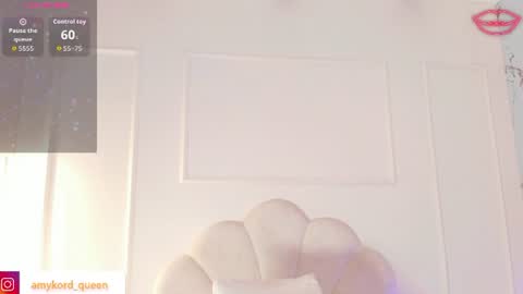 Amykord online show from 06/11/26, 11:41
