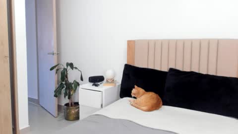 Snapshot of anahenao chatting on 10/25/25, 09:42 Ana Henao or Annie... Follow me ahenaocb Insta X online show from 10/25/25, 09:42