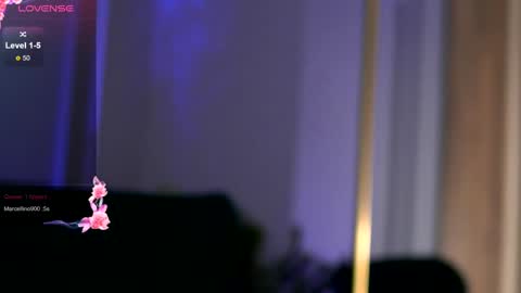Anais online show from 01/10/25, 07:46