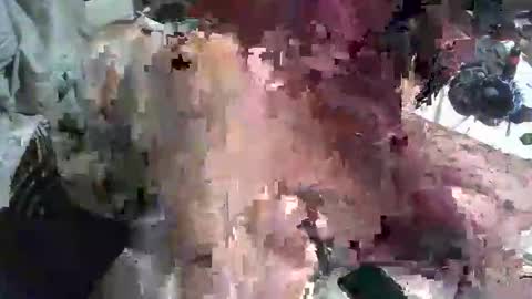 Snapshot of analwhore666 chatting on 01/23/25, 11:37 kinkylilanalslut online show from 01/23/25, 11:37