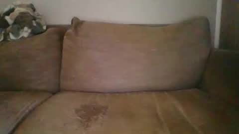 Snapshot of andellus chatting on 02/02/25, 11:51 andellus online show from 02/02/25, 11:51