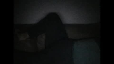 Snapshot of andellus chatting on 11/02/25, 11:18 andellus online show from 11/02/25, 11:18