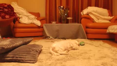 Andra online show from 11/18/25, 10:25