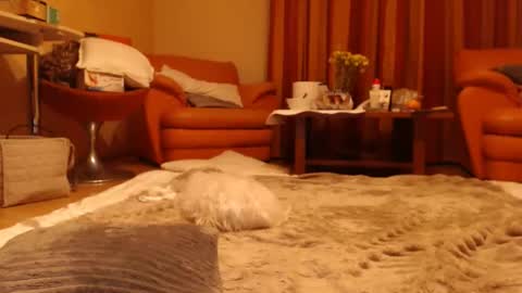 Andra online show from 06/01/26, 08:54