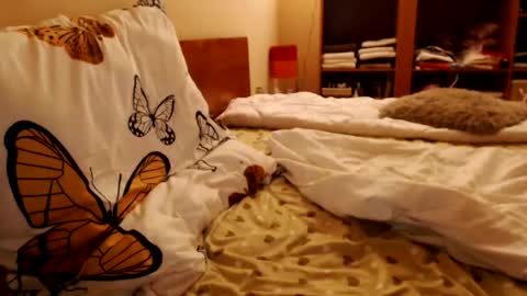 Andra online show from 07/24/26, 12:08