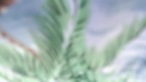 andy_dan1 online show from 05/18/26, 06:08