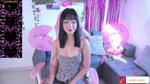          online show from 12/12/24, 02:33