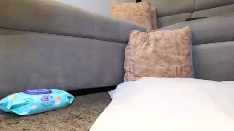 Anell online show from 11/24/25, 04:01