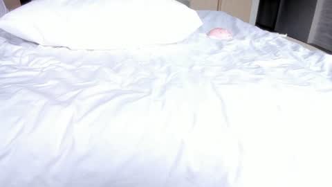 angel_andreww online show from 07/29/26, 06:33