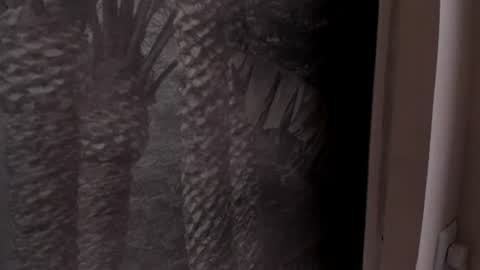 Angelie Rose  online show from 06/27/26, 12:33
