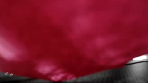 Anna Evodees  online show from 12/08/24, 07:54