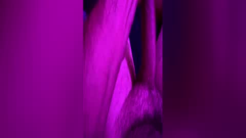 anonymous82389 online show from 06/11/26, 11:58