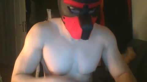 Snapshot of anonymousguy68_cam chatting on 09/12/25, 11:37 Anonymousguy online show from 09/12/25, 11:37