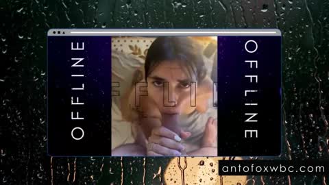 Snapshot of antofoxwbc chatting on 02/04/25, 05:53 Anto online show from 02/04/25, 05:53
