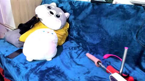 Snapshot of antofoxwbc chatting on 02/09/25, 11:57 Anto online show from 02/09/25, 11:57