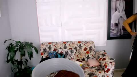 antonella online show from 06/12/26, 03:05