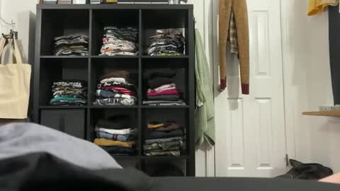 cowboy online show from 11/20/25, 08:03