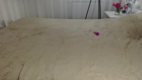 Aphrodite online show from 09/20/25, 08:32