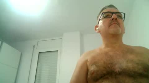 Snapshot of apixaba chatting on 09/16/25, 08:43 furry bear online show from 09/16/25, 08:43