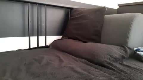 apollobest77 online show from 11/06/25, 02:40