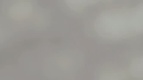 April online show from 01/15/25, 04:57