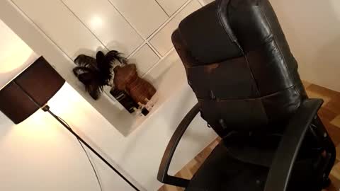 Snapshot of arabella_califa chatting on 04/01/26, 02:12 ARABELLA online show from 04/01/26, 02:12