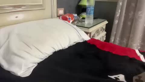 Egyptian Man online show from 01/29/25, 01:05