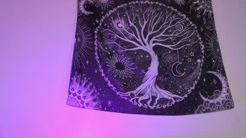 Aram 3 online show from 01/27/25, 06:41