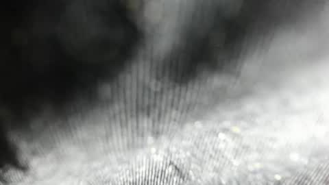Arantza Hill online show from 06/17/26, 08:21