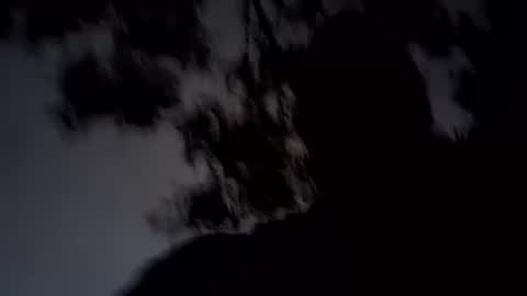 ARCHANGEL MICHAEl online show from 01/19/25, 11:34