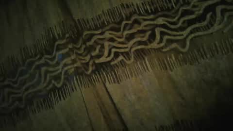 olo online show from 11/24/25, 04:34