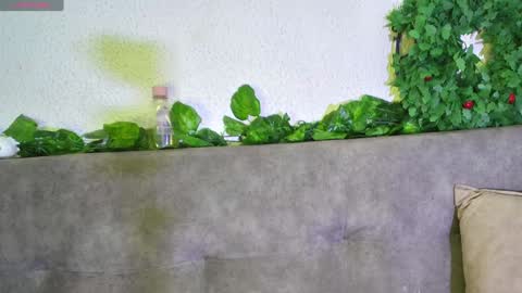 ari online show from 12/11/24, 06:04