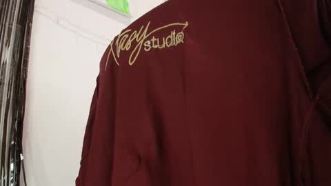 Snapshot of aria_arthur chatting on 11/18/25, 06:01 aria_arthur online show from 11/18/25, 06:01