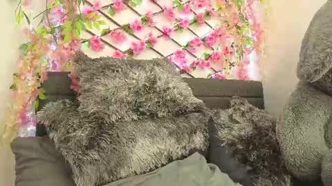 aria_silk online show from 06/28/26, 02:23