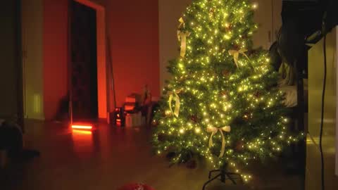 Snapshot of arianna_richi chatting on 12/30/24, 05:48 Olivka online show from 12/30/24, 05:48