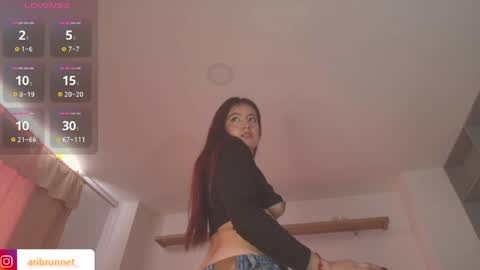 Snapshot of aribrunnet_ chatting on 03/28/26, 04:06 Ari Just Ari online show from 03/28/26, 04:06